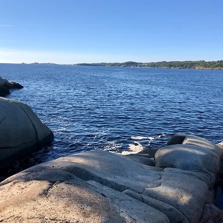 Tollgaarden Gjestegaard 3* 拉尔维克