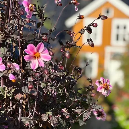 Tollgaarden Gjestegaard 住宿加早餐酒店