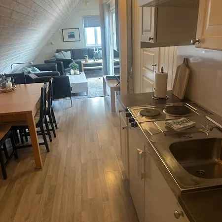 Tollgaarden Gjestegaard 3* 拉尔维克