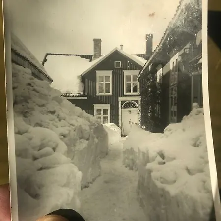 Frühstückspension Tollgaarden Gjestegaard 3*