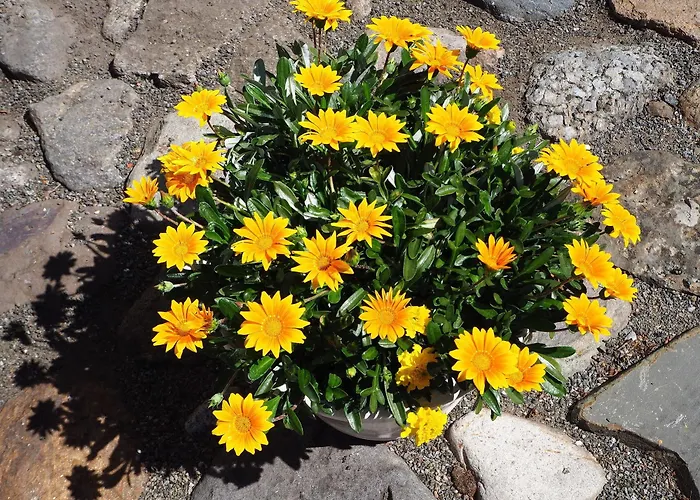 Tollgaarden Gjestegaard Larvik