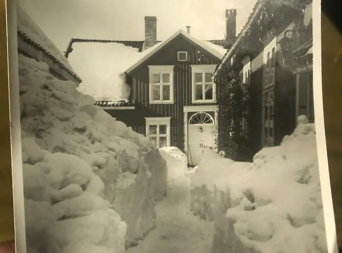 Bed & Breakfast Tollgaarden Gjestegaard 3*